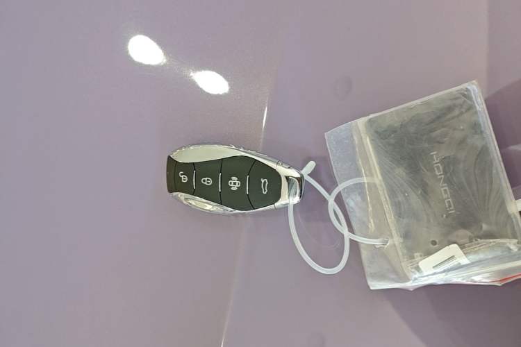 Used Hongqi Tiangong 08 2025 730 Max Rear-Drive Version Vehicle Key