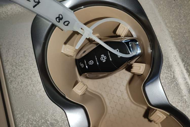 Used Hongqi Tiangong 08 2025 605 Pioneer Edition Interior 1