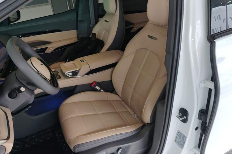 Used Hongqi Tiangong 08 2025 605 Max Rear-Drive Version Left Front Seat