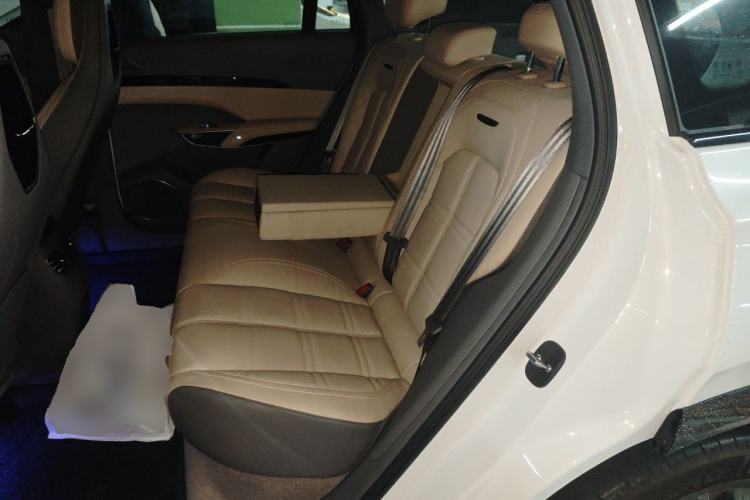 Used Hongqi Tiangong 08 2025 605 Smart Selection Edition Left Rear Seat