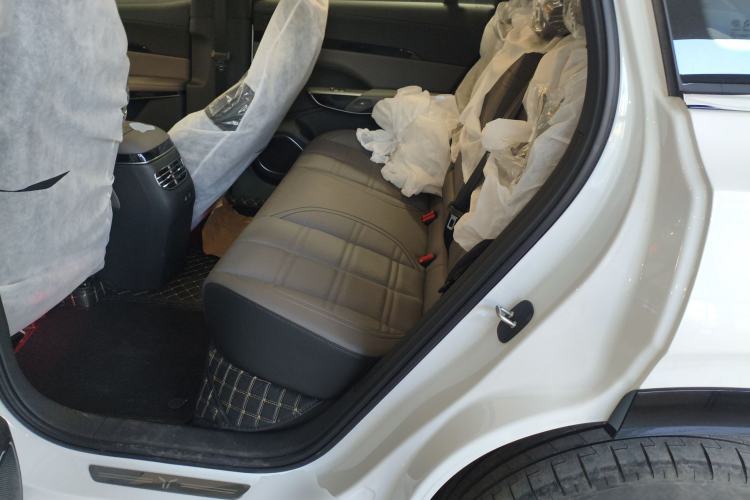 Used Hongqi Tiangong 08 2025 520 Max Rear-Drive Version Left Rear Seat
