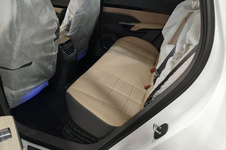 Used Hongqi Tiangong 08 2025 520 Max Rear-Drive Version Left Rear Seat