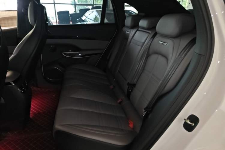 Used Hongqi Tiangong 08 2025 565 Ultra Four-Wheel Drive Version Left Rear Seat
