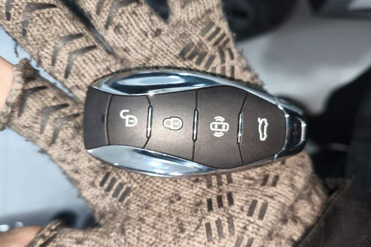Used Hongqi Tiangong 08 2025 520 Max Rear-Drive Version Vehicle Key