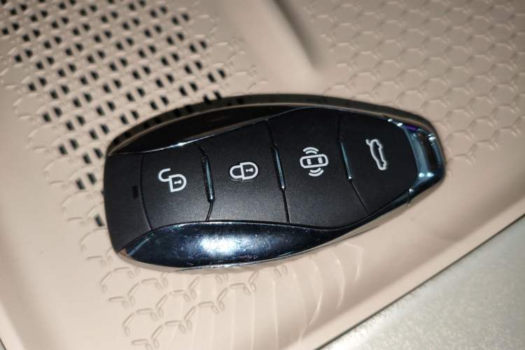 Used Hongqi Tiangong 08 2025 520 Max Rear-Drive Version Vehicle Key