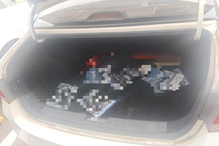 Used HORKI 300E 2017 Standard Model Trunk