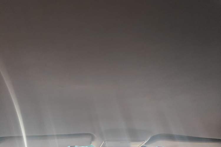 Used Huanghai Qisheng F1 2012 2.0L Two-Wheel-Drive Sport Edition Headliner