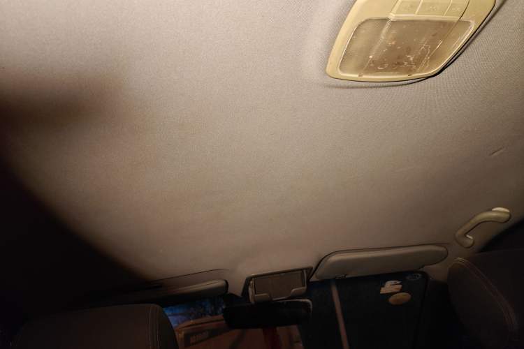 Used Huanghai Qisheng F1 2012 2.0L Two-Wheel-Drive Sport Edition Headliner