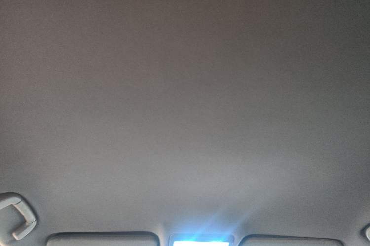 Used Huanghai Qisheng V3 2011 2.0L Ultra-Luxury Version Headliner
