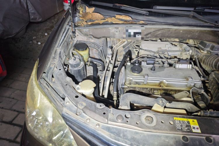 Used Huanghai Qisheng V3 2011 2.0L Ultra-Luxury Version Engine Bay Right