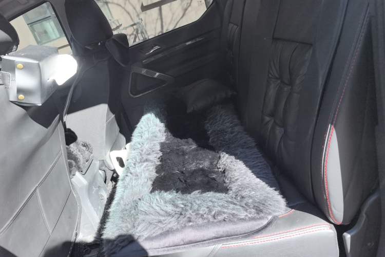 Used Huanghai Weilong 2019 2.4T Gasoline Manual 4x4 Ultimate Edition China VI 4K22D4T Left Rear Seat