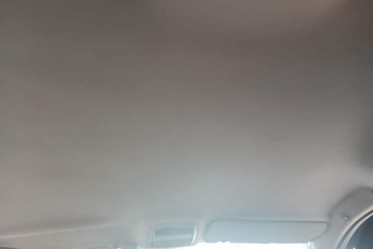 Used Huasong 7 2015 2.0T Automatic Comfort Model Headliner