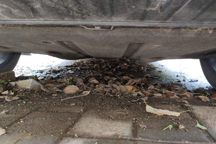 Used Hycan 007 2020 TOP Edition Chassis Rear