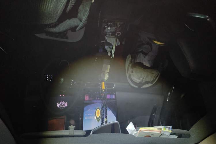 Used Hycan A06 2022 630C Headliner