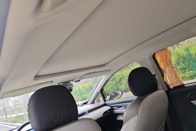 Used Hycan Z03 2021 Trendy Smart Edition Headliner