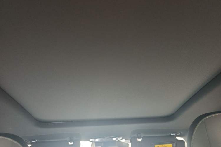 Used Hycan Z03 2021 Trendy Smart Edition Headliner