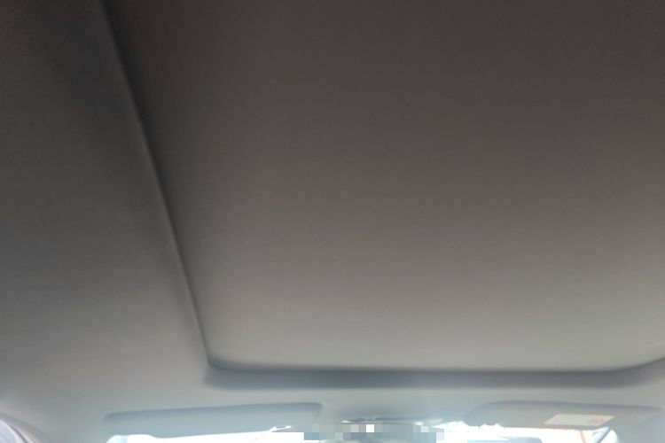 Used Hycan Z03 2021 Trendy Smart Edition Headliner