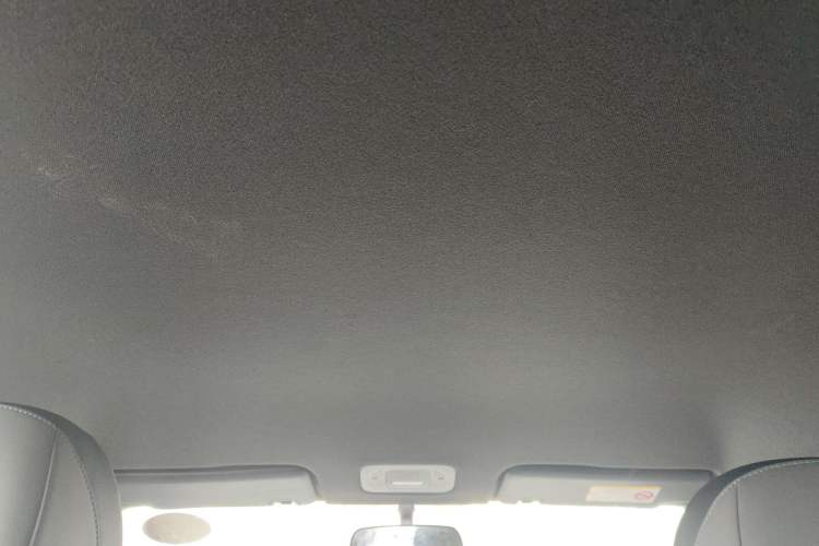 Used Hycan Z03 2022 430 km Range Trend Edition 135 kW 55.5 kWh Headliner