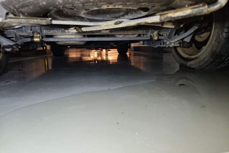 Used HYOSOW H3 2016 H3F 1.5L Manual Prestige Edition Chassis Rear