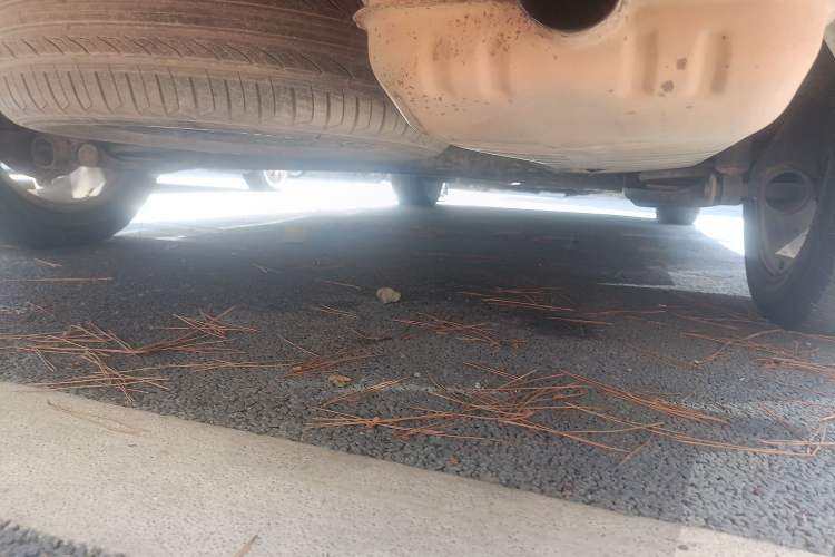 Used HYOSOW H5 2018 1.3T CVT Comfort Model Chassis Rear