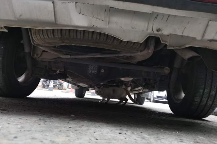 Used HYOSOW S3 2014 1.5L Luxury Version China IV Emission Standard Chassis Rear