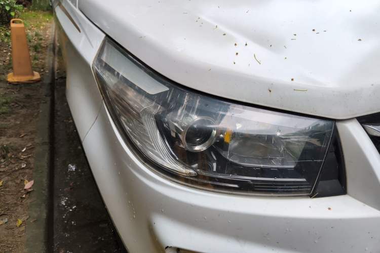 Used HYOSOW S3 2015 1.8L Prestige Version China V Emission Standard Right Front Headlight