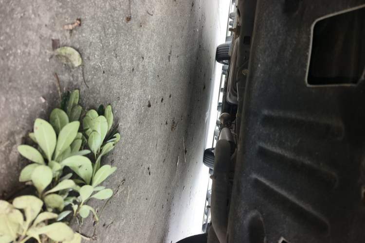 Used HYOSOW S6 2016 1.5T Manual Smart Edition Chassis Rear
