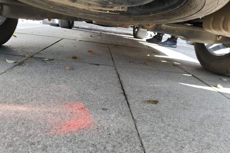Used HYOSOW S7 2018 1.5T Automatic Premium Edition Chassis Rear