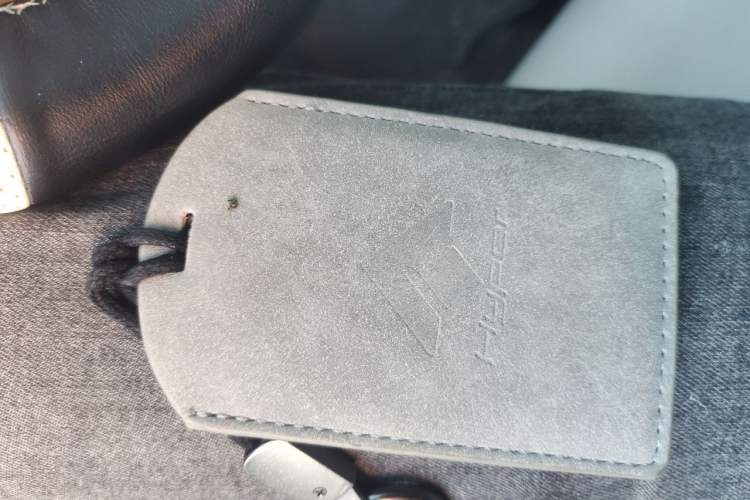 Used Hyptec GT 2023 560 Rear-Drive Seven-Wing Edition Vehicle Key