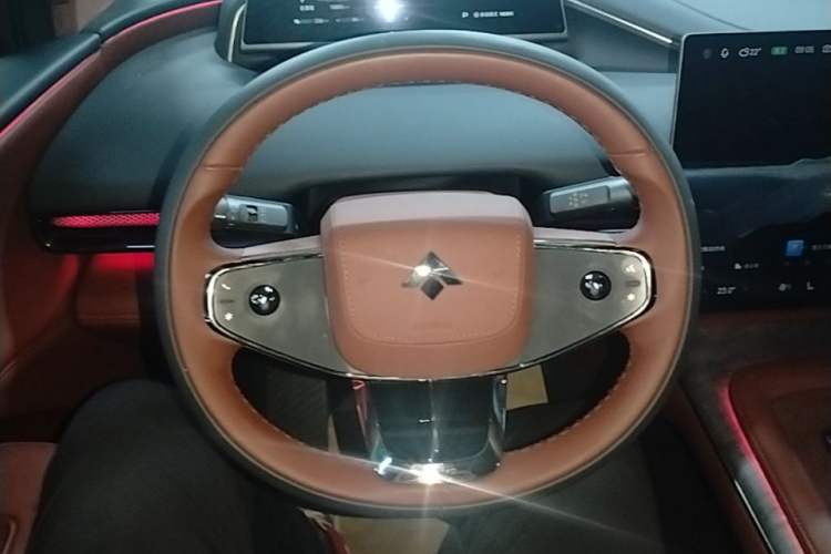 Used Hyptec HL 2025 Model 350 Pro Six-Seater LiDAR Edition Steering Wheel
