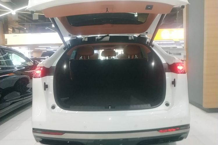 Used Hyptec HT 2025 825 Max Trunk