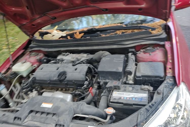 Used Hyundai Celesta 2008 1.6L AT GLS Engine Bay