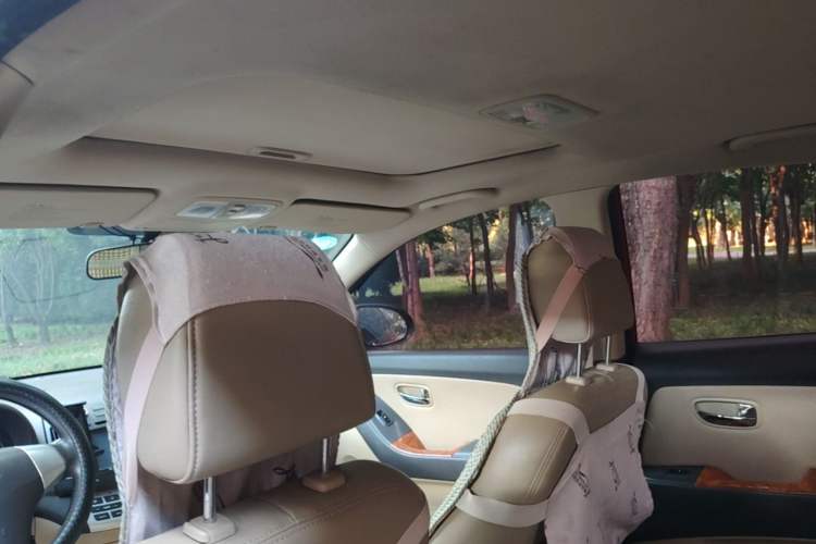 Used Hyundai Celesta 2008 1.6L AT GLS Headliner
