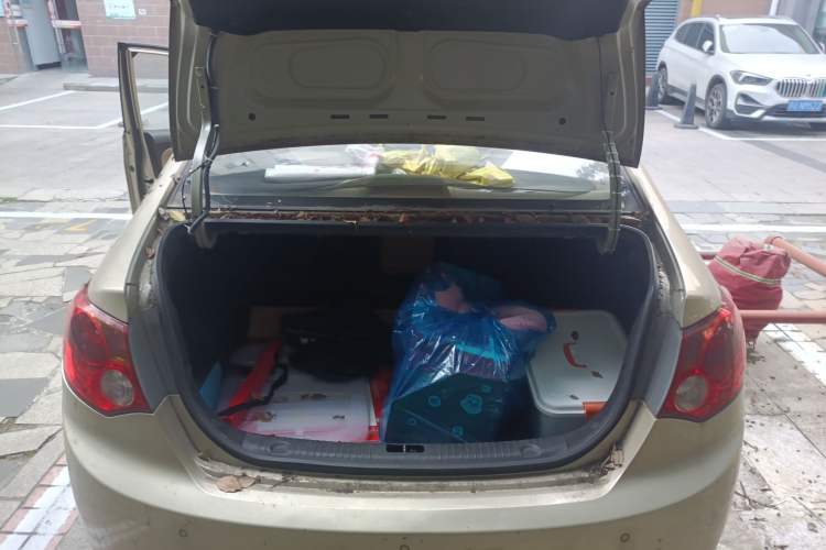 Used Hyundai Celesta 2008 1.6L AT GL Trunk
