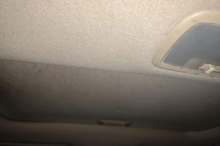 Used Hyundai Celesta 2010 1.6L AT GLS Headliner