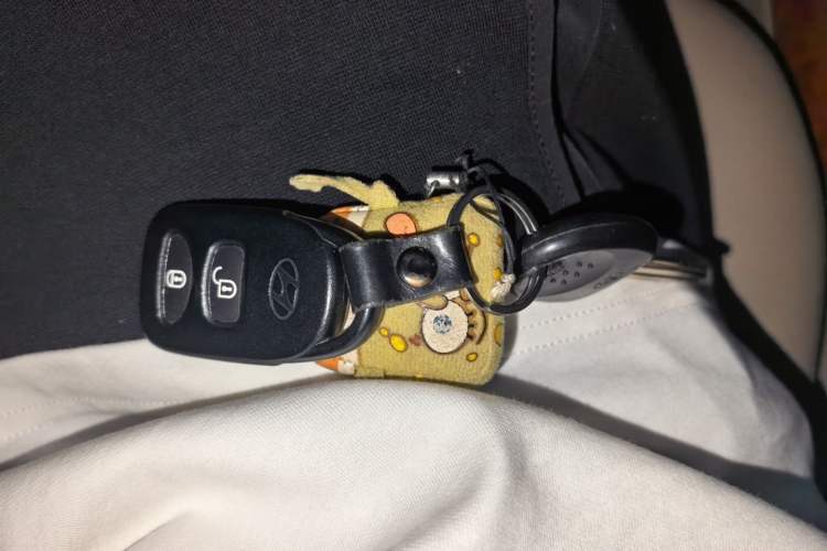 Used Hyundai Celesta 2010 1.6L AT GLS Vehicle Key