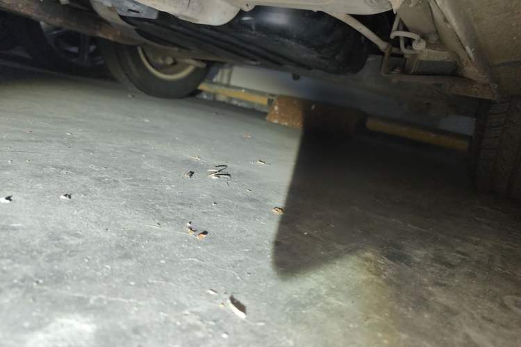 Used Hyundai Celesta 2010 1.6L AT GLS Chassis Rear Left