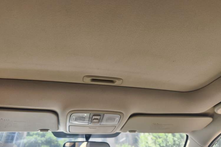 Used Hyundai Celesta 2010 1.6L AT GLS Headliner