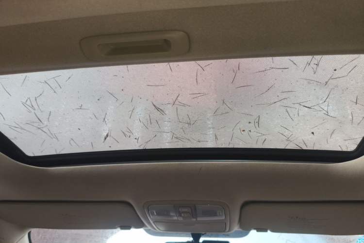 Used Hyundai Celesta 2010 1.6L AT GLS Headliner