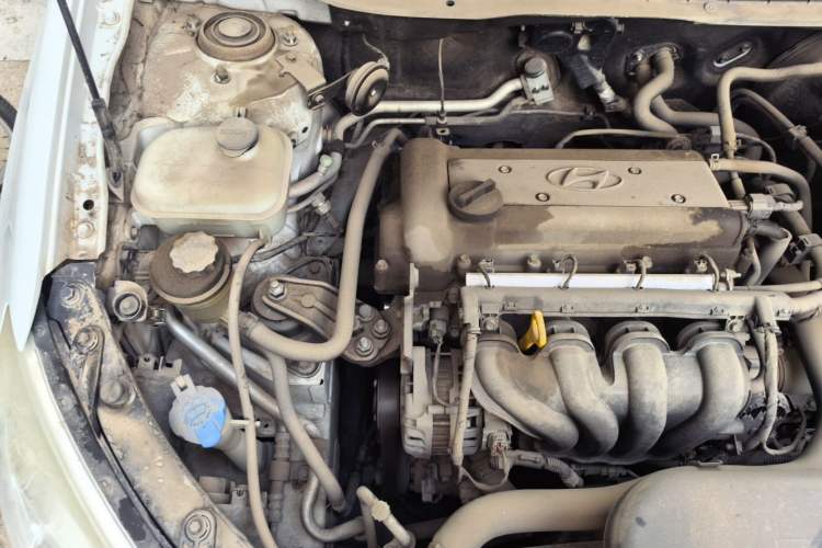 Used Hyundai Celesta 2010 1.6L AT GLS Engine Bay Right