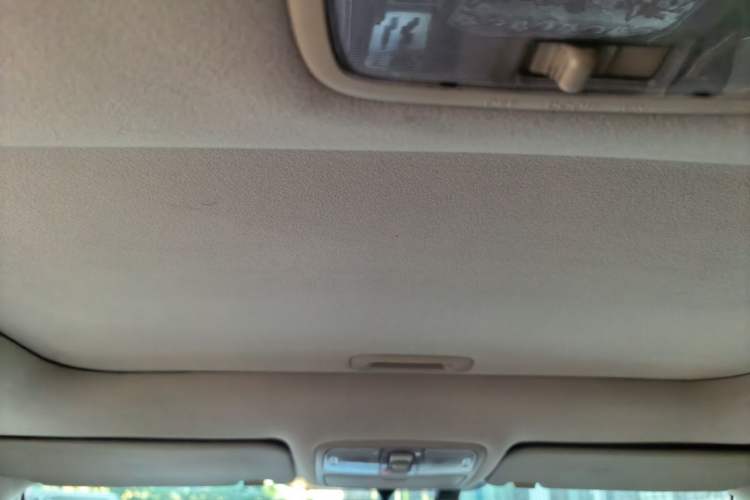 Used Hyundai Celesta 2010 1.6L AT GLS Headliner