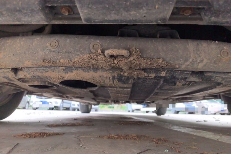 Used Hyundai Celesta 2011 1.6L Manual Comfort Edition Chassis Front