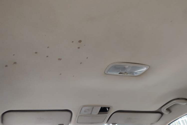 Used Hyundai Celesta 2011 1.6L Manual Comfort Edition Headliner
