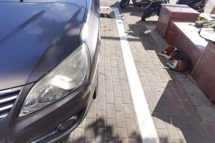 Used Hyundai Celesta 2011 1.6L Manual Comfort Edition Left Front Headlight