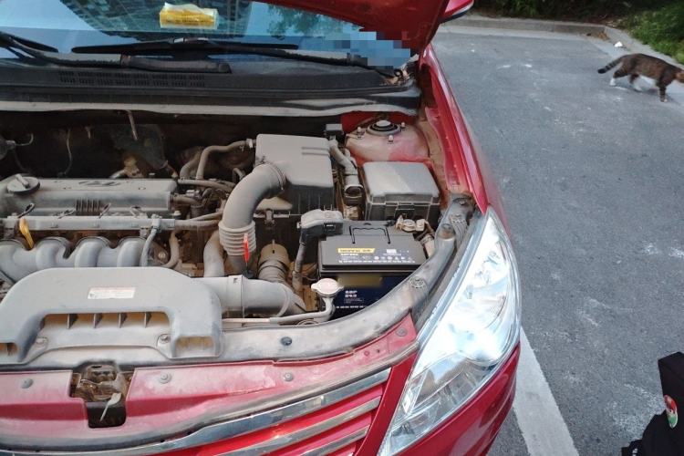 Used Hyundai Celesta 2011 1.6L Automatic Luxury Version Engine Bay Left
