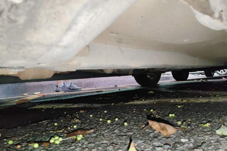 Used Hyundai Celesta 2011 1.6L Automatic Comfort Edition Chassis Front Left