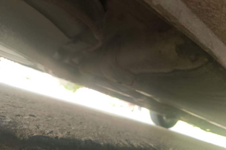 Used Hyundai Celesta 2011 1.6L Manual Comfort Edition Chassis Rear Right