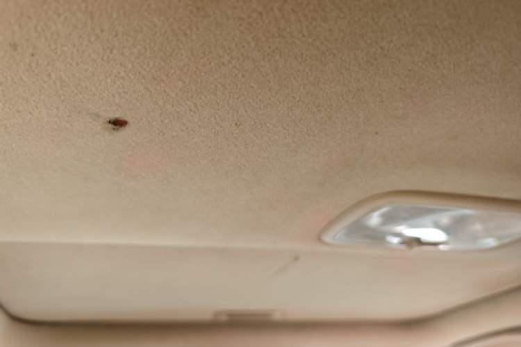 Used Hyundai Celesta 2011 1.6L Manual Luxury Model Headliner
