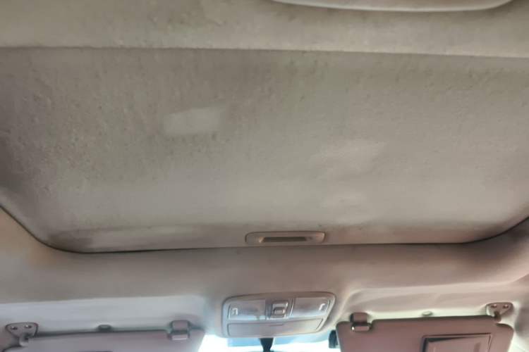 Used Hyundai Celesta 2011 1.6L Manual Luxury Model Headliner