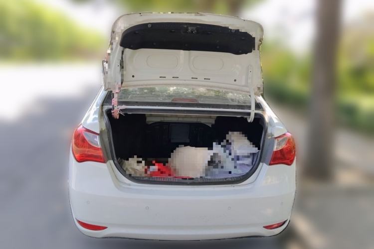 Used Hyundai Celesta 2011 1.6L Automatic Luxury Version Trunk